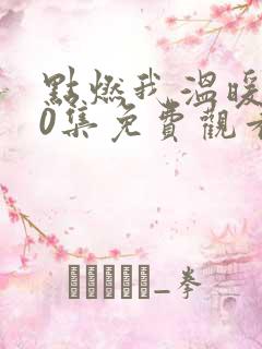 点燃我温暖你30集免费观看