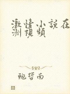 激情小说在线亚洲视频