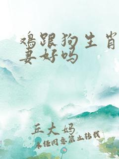 鸡跟狗生肖做夫妻好吗 鸡跟狗生肖做夫妻好吗