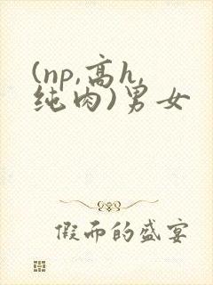 (np,高h,纯肉)男女