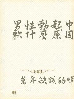 男性勃起中途变软什么原因 男性勃起中途变软什么原因
