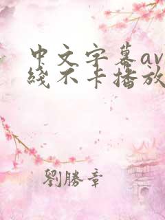 中文字幕av在线不卡播放 中文字幕av在线不卡播放