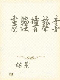 电脑播放音乐怎么没有声音