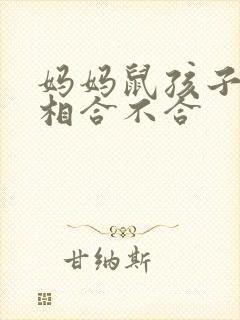 妈妈鼠孩子马属相合不合