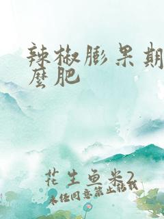 辣椒膨果期用什么肥