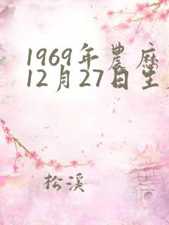 1969年农历12月27日生辰八字