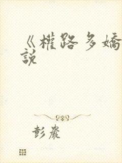 《权路多娇》小说