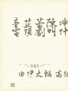 辛芷蕾陈坤主演电视剧叫什么名