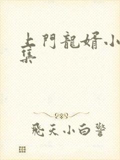 上门龙婿小说全集