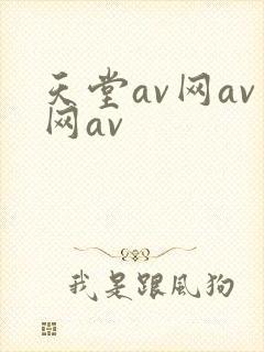 天堂av网av网av