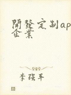 开发定制app企业
