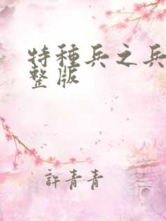 特种兵之兵王完整版