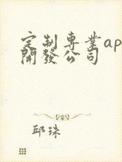 定制专业app开发公司