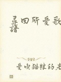 寻回所爱歌词歌谱