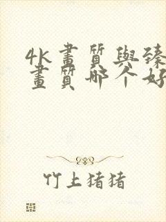 4k画质与臻彩画质哪个好 4k画质与臻彩画质哪个好