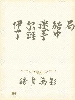 伊尔迷结局死在了谁手中