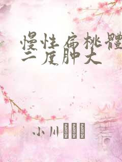 慢性扁桃体肥大二度肿大