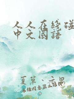 人人在线碰视频中文国语