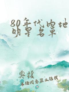80年代内地女明星名单