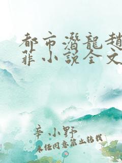 都市潜龙赵东苏菲小说全文免费阅读