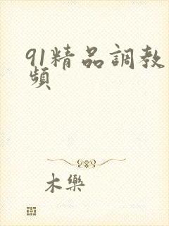 91精品调教视频