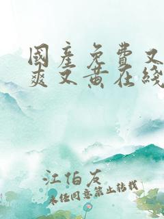 国产免费又色又爽又黄在线观看