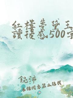 红楼梦黛玉葬花读后感500字