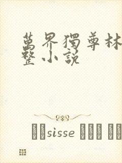 万界独尊林枫完整小说