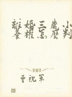 离婚三岁小孩抚养权怎么判定