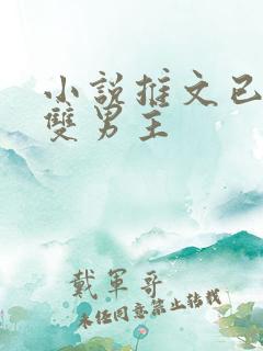 小说推文已完结双男主