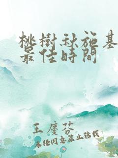 桃树秋施基肥的最佳时间