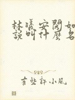 林曦安闵如茵小说叫什么名字