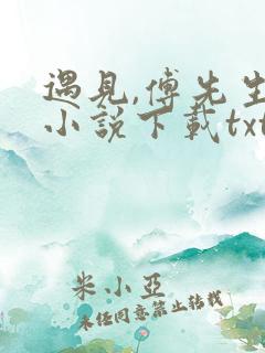 遇见,傅先生 小说下载txt