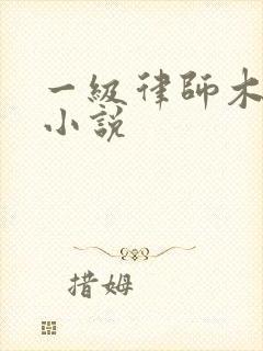 一级律师木苏里小说