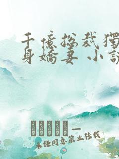 千亿总裁独宠替身娇妻 小说完整