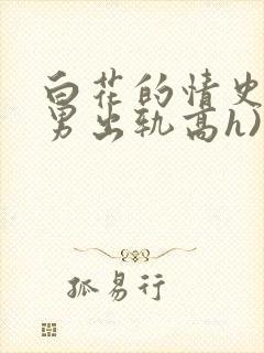 白花的情史2(男出轨高h)》
