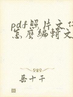 pdf照片文件怎么编辑文字