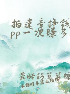 拍违章挣钱的app一次赚多少