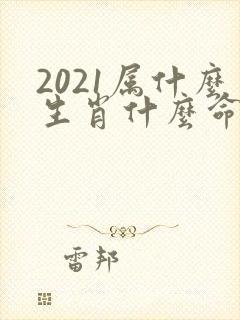 2021属什么生肖什么命