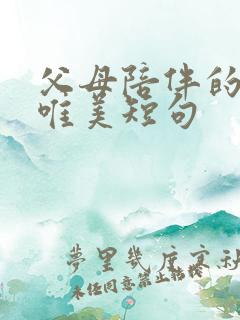 父母陪伴的句子唯美短句