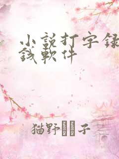小说打字录入赚钱软件