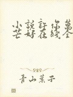 小说许你万丈光芒好在线全文免费阅读