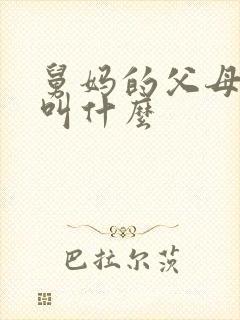 舅妈的父母我该叫什么