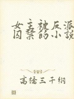 女主被反派强迫囚禁的小说