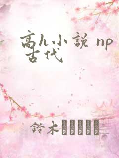 高h小说 np 古代