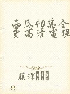西瓜40集全免费高清电视剧