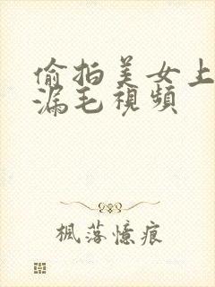 偷拍美女上厕所漏毛视频