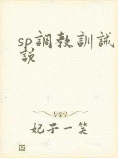 sp调教训诫小说