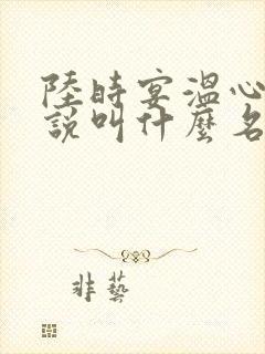 陆时宴温心的小说叫什么名字