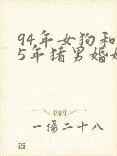 94年女狗和95年猪男婚姻怎样